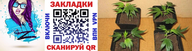 Хочу наркоту Владикавказ МДМА  Мефедрон  ГАШИШ 