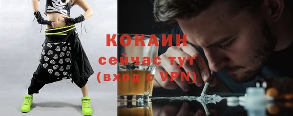 прущие грибы Горно-Алтайск