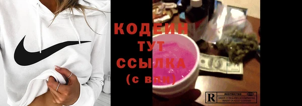 прущие грибы Горно-Алтайск