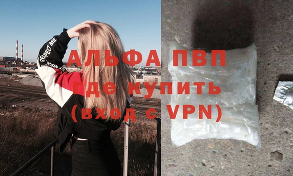 прущие грибы Горно-Алтайск