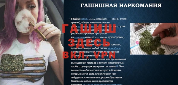 прущие грибы Горно-Алтайск
