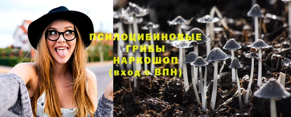 прущие грибы Горно-Алтайск