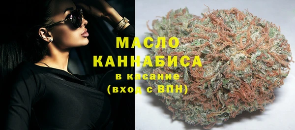 прущие грибы Горно-Алтайск