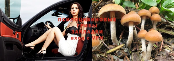 мескалин Горнозаводск