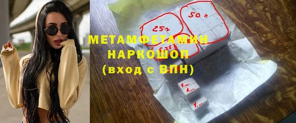 прущие грибы Горно-Алтайск