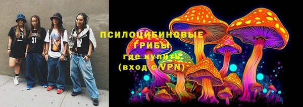 прущие грибы Горно-Алтайск