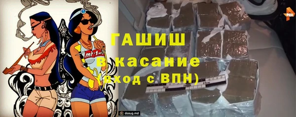 прущие грибы Горно-Алтайск