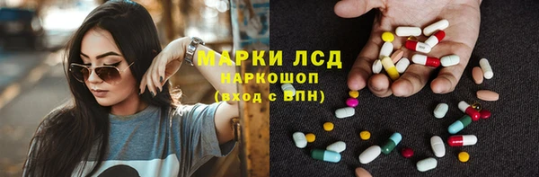 прущие грибы Горно-Алтайск