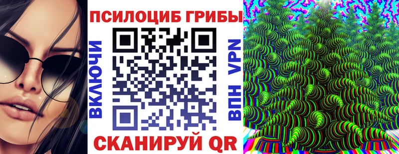 Псилоцибиновые грибы мухоморы  omg зеркало  Владикавказ  цены  